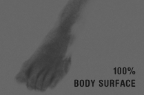 body surface