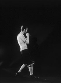 boxer
